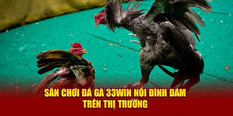 Đá Gà Trực Tiếp - Siêu Phẩm Đặt Cược Trả Thưởng Hấp Dẫn