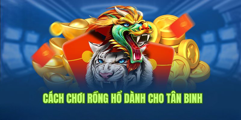 Cách Chơi Rồng Hổ Giúp Tân Binh Thống Trị Bàn Cược