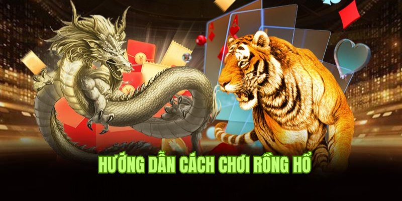 Đôi nét về luật đặt tiền trong trò chơi Dragon & Tiger