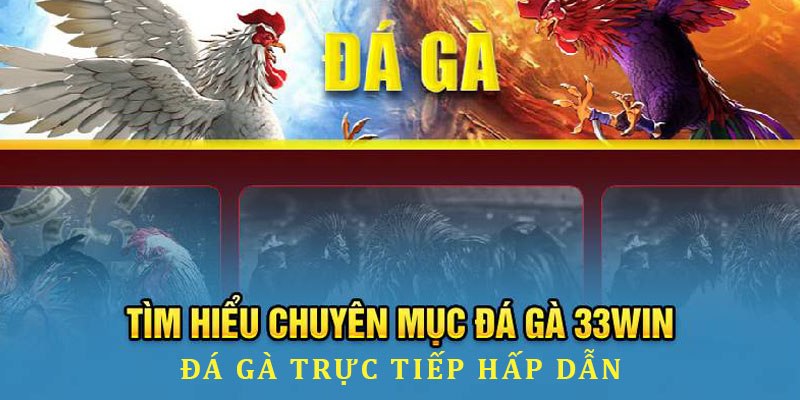 Đá gà trực tiếp - chuyên mục nổi bật tại thiên đường 33WIN huyền thoại