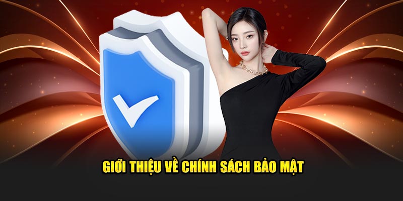 Giới thiệu khái niệm dễ hiểu về chính sách bảo mật