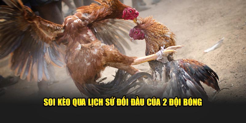 Soi kèo qua lịch sử đối đầu của 2 đội bóng 